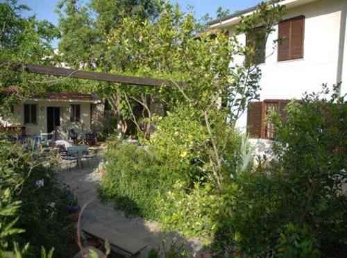 Misafir Evi Hotel Kayakoy Exterior foto